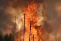 Quebec police investigate causes of fire at shrimp processing plant