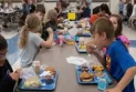 The federal government is committed to establishing a national school feeding program worth one billion dollars over five years.