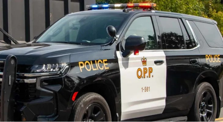 Ontario police urge drivers to clear snow from their cars before driving