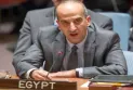 Egypt demands an international investigation into Israel's crimes and an immediate and permanent ceasefire in the Gaza Strip.