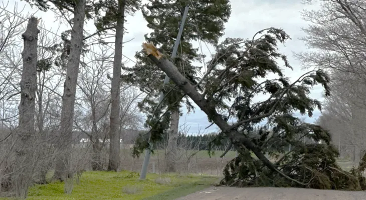 Strong winds cause power outages for thousands in Ontario.