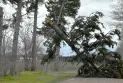 Strong winds cause power outages for thousands in Ontario.
