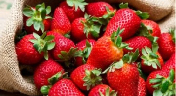Canada lifts the ban on Egyptian strawberries