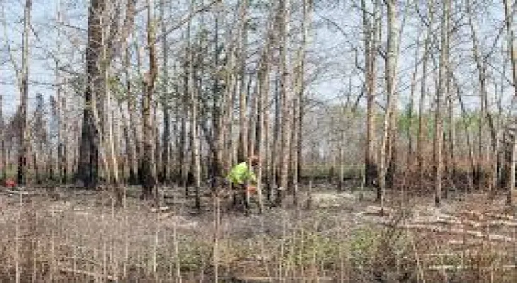 L'Alberta se prépare à une longue saison de feux de forêt alimentée par une sécheresse sévère