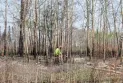 L'Alberta se prépare à une longue saison de feux de forêt alimentée par une sécheresse sévère