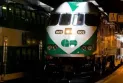 boy falls from the top of Toronto train