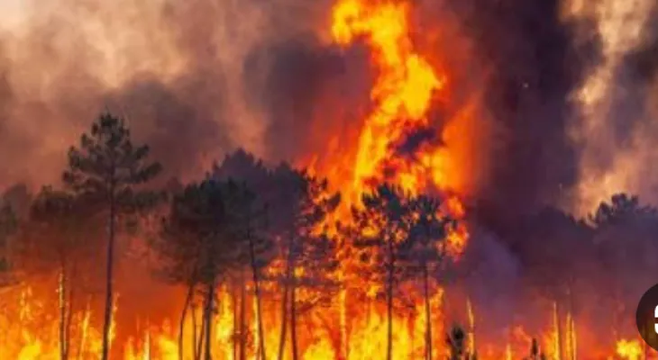 Les incendies de forêt précoces provoquent des inquiétudes chez les autorités canadiennes