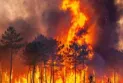 Les incendies de forêt précoces provoquent des inquiétudes chez les autorités canadiennes