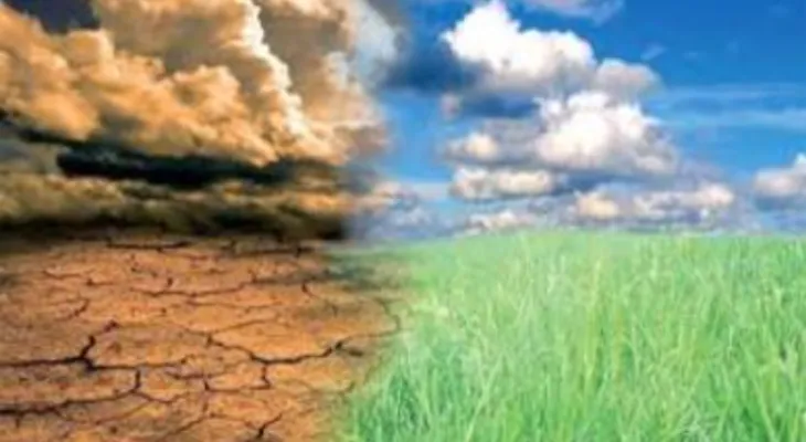 20% of Germans feel anxious daily about climate change