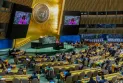L'Assemblée générale des Nations Unies soutient la demande de la Palestine pour l'adhésion.