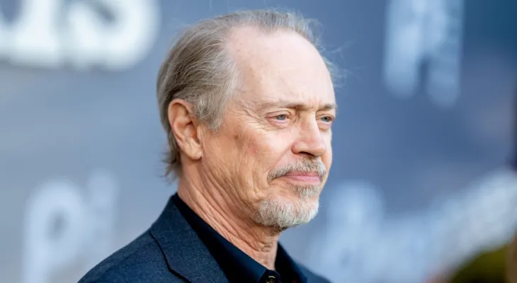 Actor Steve Buscemi was punched in the face while walking in New York City.