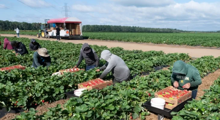 Ontario changes the way it compensates injured migrant workers.