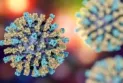 For the first time in a decade... Ontario witnesses the death of a small child from measles.