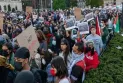 Les employés des universités affiliées à l'Université de Californie font grève en solidarité avec la Palestine.