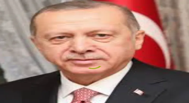 Accusations de tentative de coup d'État ratée en Turquie