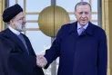 Qatar, Saudi Arabia, and Turkey offer assistance in the search operations for the Iranian president's plane.