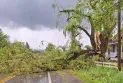 Un cyclone frappe l'ouest de l'île de Montréal