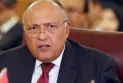 Egypt's Foreign Minister Sameh Shoukry talks about Hamas accepting the new offer and operating the Rafah crossing.