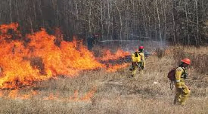 The people evacuated from Alberta due to wildfires in 2023 are still staying in hotels and temporary accommodations.