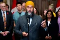 The Federal Democratic National aims to impose a cap on the prices of essential goods in grocery stores, while liberals believe that this will not succeed.