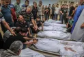 150 martyrs in Palestine in the al-Nuseirat massacre, the killing of an Israeli officer, and the liberation of four Israeli hostages.