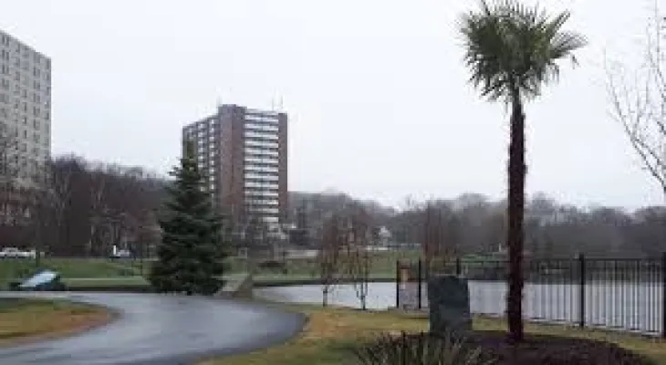 Nova Scotia: Palm trees cannot adapt to the cold winter