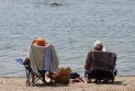 Hot and sunny or humid and cold... Weather forecasts this summer according to Environment Canada