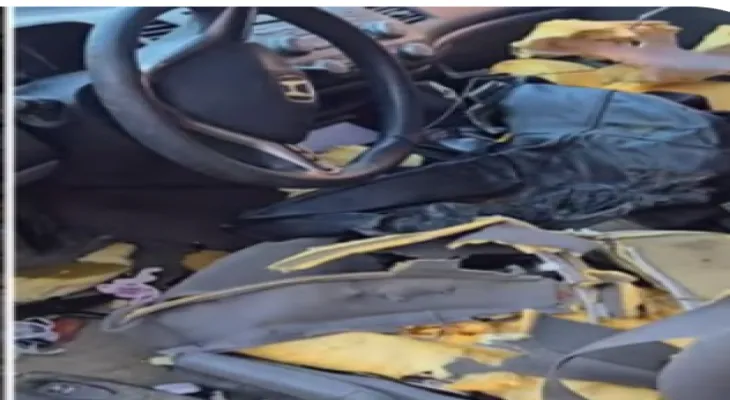 A black bear breaks into a Canadian woman's car and tears up the upholstery.