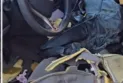 A black bear breaks into a Canadian woman's car and tears up the upholstery.