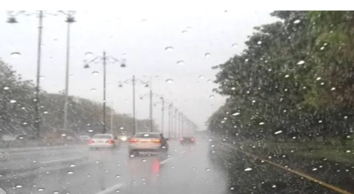 Moderate weather forecast with rain in Ontario