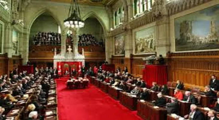 The National Democratic Party is exploring support options for the controversial pornography bill in the Senate that has faced significant criticism.