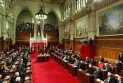 Le Parti national démocratique étudie les options pour soutenir le projet de loi sur les matériaux pornographiques au Sénat, qui a fait l'objet de vives critiques.