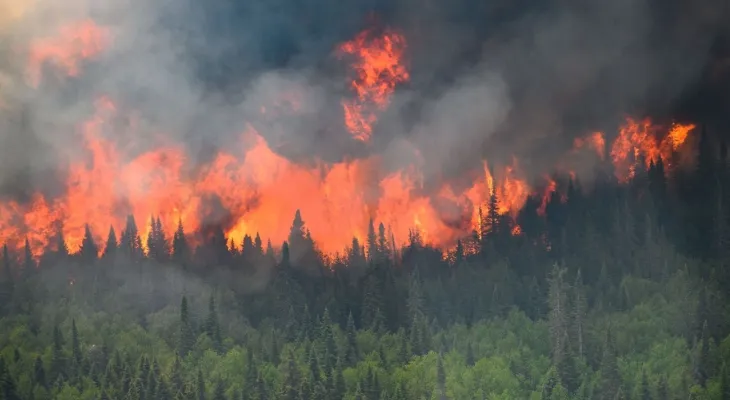 Quebec: Evacuation of hundreds of people due to forest fire