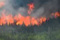 Québec : évacuation de centaines de personnes en raison d'un incendie de forêt