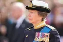 Buckingham Palace: Princess Anne suffers injuries and concussion from "incident"