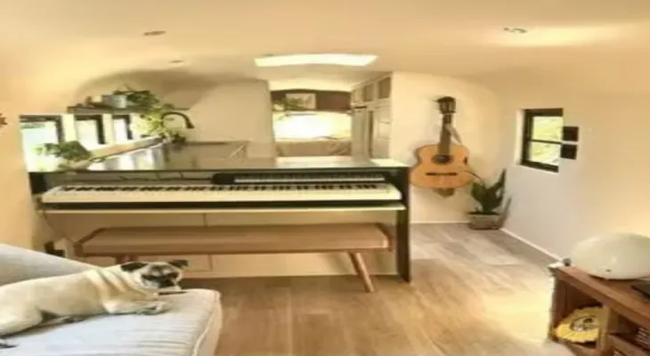 A couple transforms a school bus into their dream home in Canada.