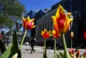 Avec la hausse du taux d'inflation en mai... la prochaine étape de la Banque du Canada reste incertaine.