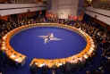 NATO establishes a security cooperation mission with Ukraine and a center for studying and analyzing the conflict.