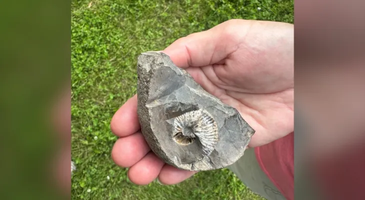 Finding a rare marine fossil in East Saskatchewan