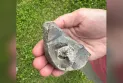 Finding a rare marine fossil in East Saskatchewan