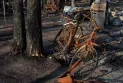 La saison des feux de forêt au Canada approche de la moyenne des 10 dernières années de son pic estival