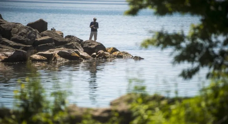 "An environmental crisis is spreading": The increase in microplastic levels in fish caught in Toronto.
