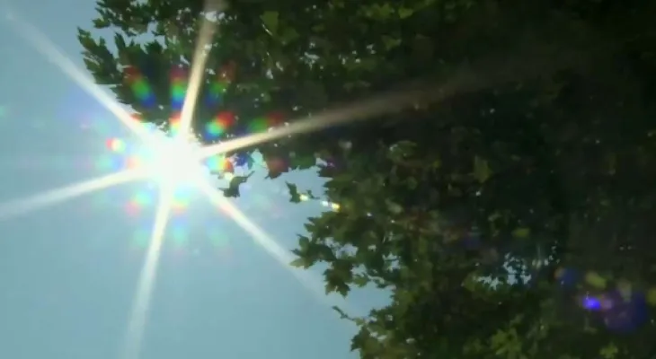 Today's weather is sunny in Ontario.