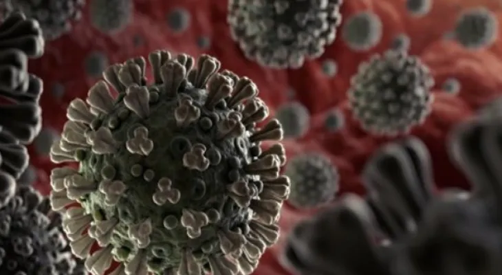 Canada announces an outbreak of "listeriosis" in the country.