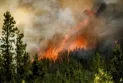 After a period of rainy calm... Forecasts predict a return of hot weather during the fight against wildfires in British Columbia.