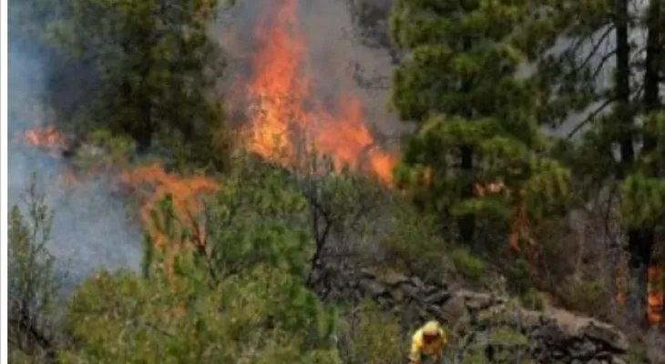 Hundreds of wildfires are breaking out in British Columbia