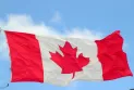 Le gouvernement canadien dépense 224 dollars par jour pour chaque réfugié dans les hôtels.