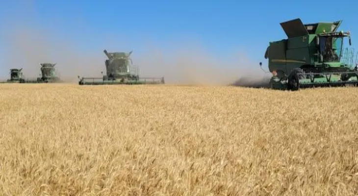 Significant losses hit agricultural crops in Alberta