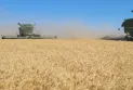 Significant losses hit agricultural crops in Alberta