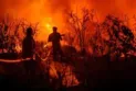 Climate change increases the risk of wildfires in Canada and the Amazon.